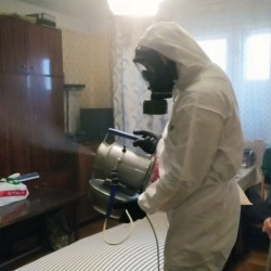 Дезинфекция от клопов в Большой Вруде