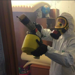 Уничтожение клопов в квартире. Большая Вруда